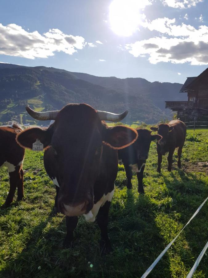 Hüttenferien Köberlhof Sankt Georgen ob Murau Exterior foto
